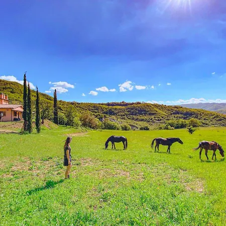 Apartamento Ca' Dei Lanari - 10 Min Da Assisi *